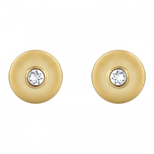 DKNY Σκουλαρίκια Shiny Metal Stud ER